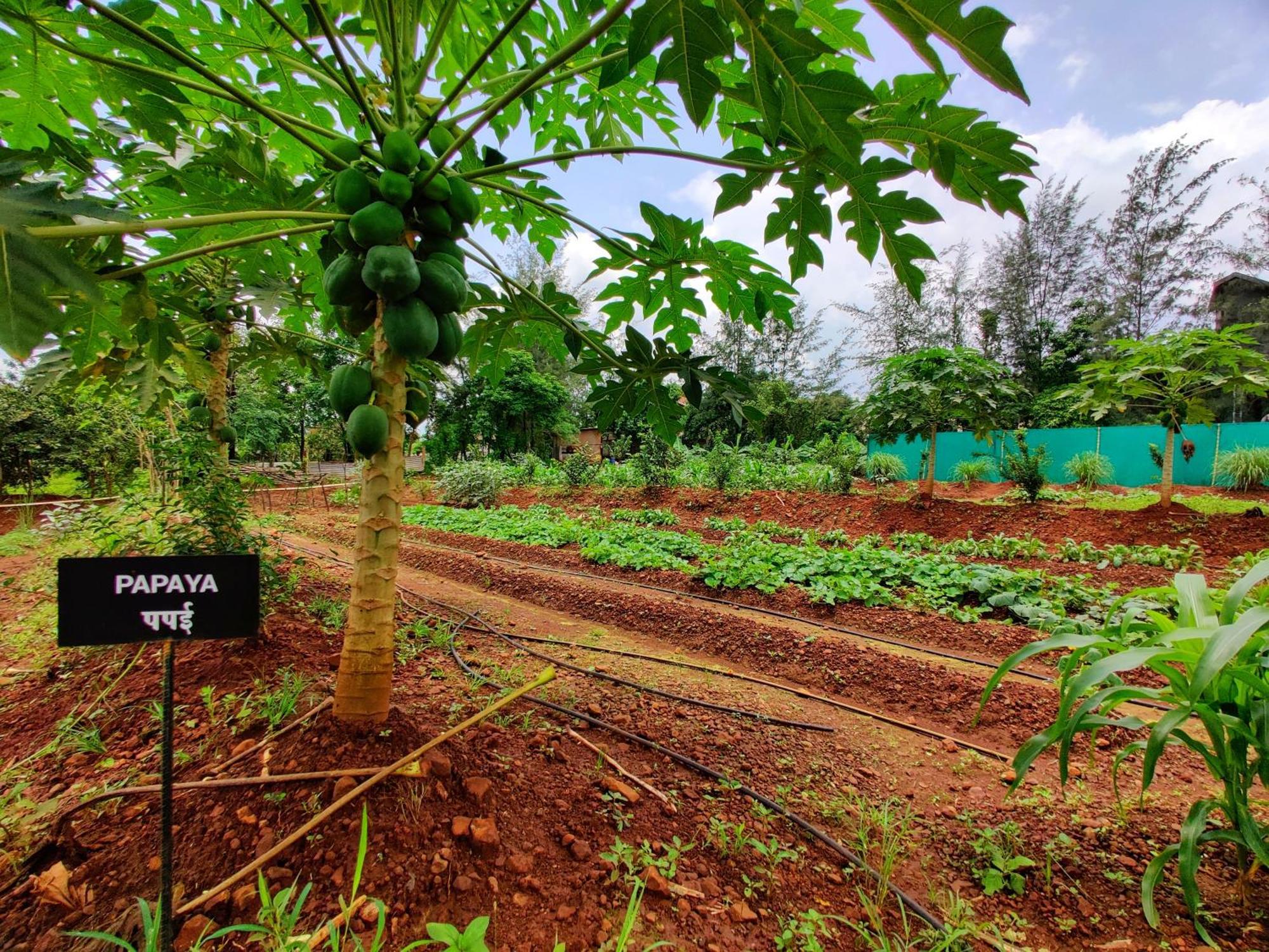 Pushpam Sanskruti Resort Karjat - A Pure Veg Resort Dhamni Exterior foto